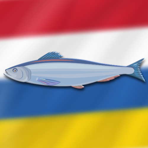 2023-02-22-heringsessen